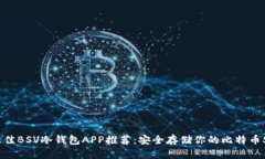 最佳BSV冷钱包APP推荐：安全存储你的比特币SV