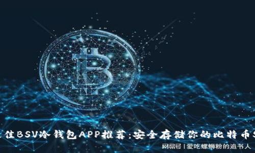 最佳BSV冷钱包APP推荐：安全存储你的比特币SV