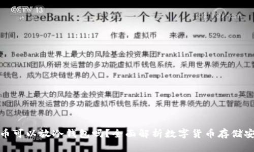 屎币可以放冷钱包吗？全面解析数字货币存储安全
