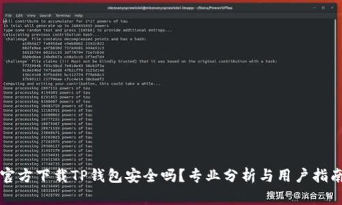 官方下载TP钱包安全吗？专业分析与用户指南