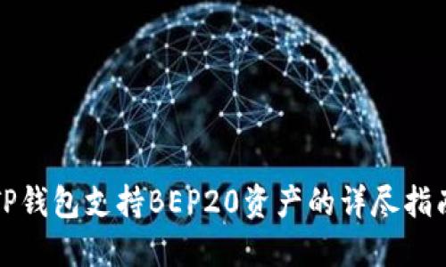 TP钱包支持BEP20资产的详尽指南