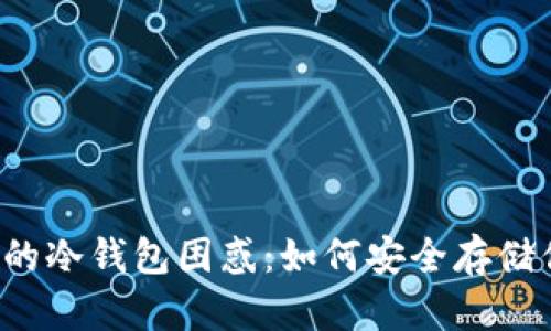 苹果手机用户的冷钱包困惑：如何安全存储你的加密资产？