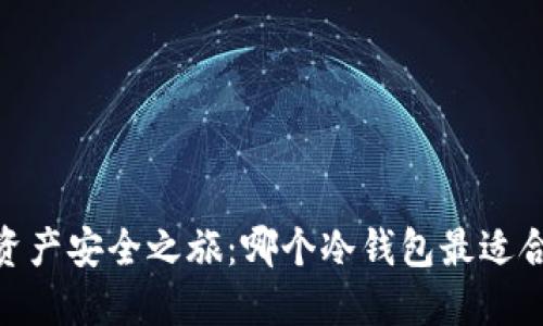 解锁数字资产安全之旅：哪个冷钱包最适合支持BTS？