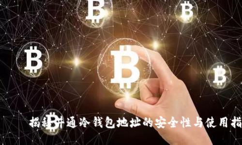 بية揭秘井通冷钱包地址的安全性与使用指南