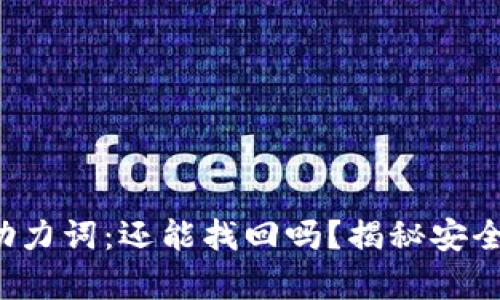 冷钱包丢失助力词：还能找回吗？揭秘安全背后的真相！