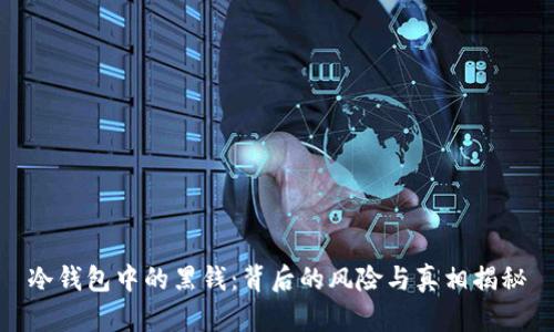 冷钱包中的黑钱：背后的风险与真相揭秘