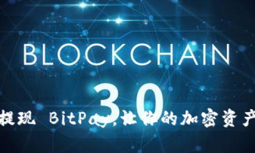 如何轻松提现 BitPay，让你的加密资产瞬间变现