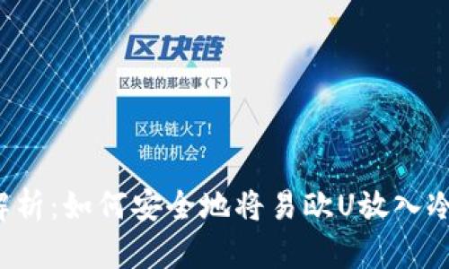深入解析：如何安全地将易欧U放入冷钱包？