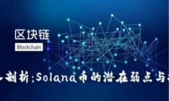 深入剖析：Solana币的潜在弱点与挑战