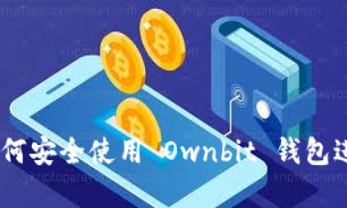 拥抱数字时代：如何安全使用 Ownbit 钱包进行加密货币存储