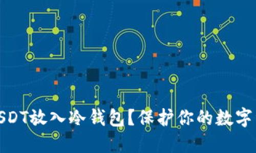 如何将USDT放入冷钱包？保护你的数字资产安全