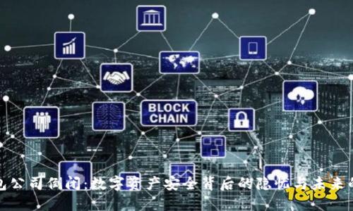 冷钱包公司倒闭：数字资产安全背后的隐忧与未来的挑战