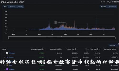 比特派会被冻结吗？揭开数字货币钱包的神秘面纱
