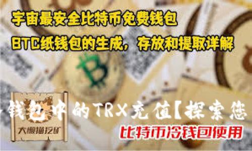 如何安全高效地为冷钱包中的TRX充值？探索您的加密货币储存之道