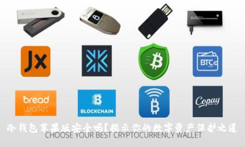 冷钱包苹果版安全吗？揭示你的数字资产保护之道