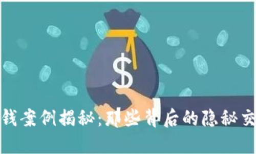 冷钱包洗钱案例揭秘：那些背后的隐秘交易与风险