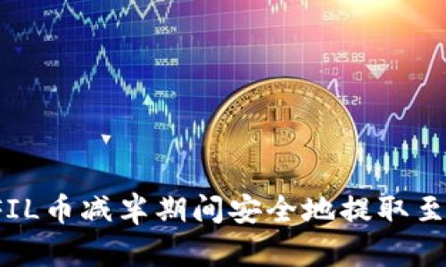 如何在FIL币减半期间安全地提取至冷钱包？