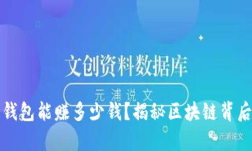 开发一个冷钱包能赚多少钱？揭秘区块链背后的财富之路