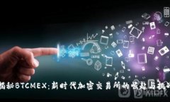 揭秘BTCMEX：新时代加密交易所的崛起与挑战