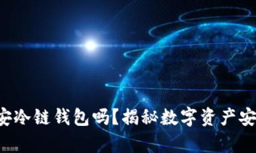 你真的了解币安冷链钱包吗？揭秘数字资产安全的最佳选择！