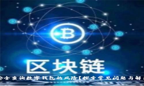 如何安全查询数字钱包的风险？探索常见问题与解决方案