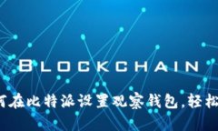 一步一步教你：如何在比特派设置观察钱包，轻