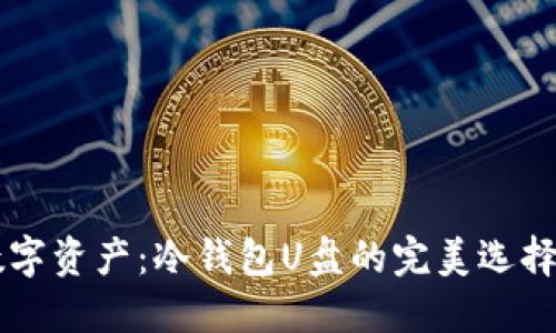 掌控你的数字资产：冷钱包U盘的完美选择与使用指南