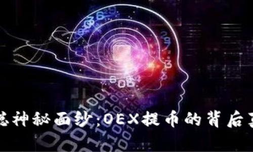 揭开中本聪神秘面纱：OEX提币的背后真相与技巧