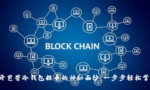 揭开芭蕾冷钱包提币的神秘面纱：一步步轻松掌握！