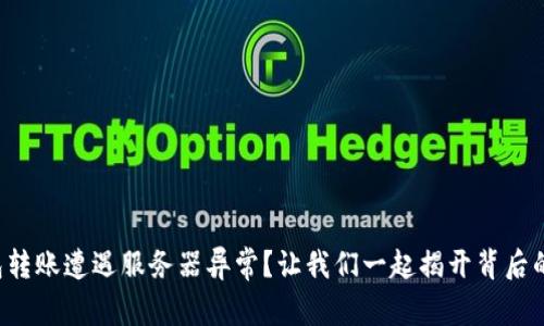 冷钱包转账遭遇服务器异常？让我们一起揭开背后的真相！