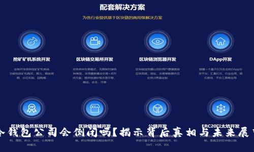 冷钱包公司会倒闭吗？揭示背后真相与未来展望