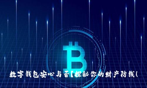数字钱包安心与否？探秘你的财产防线！