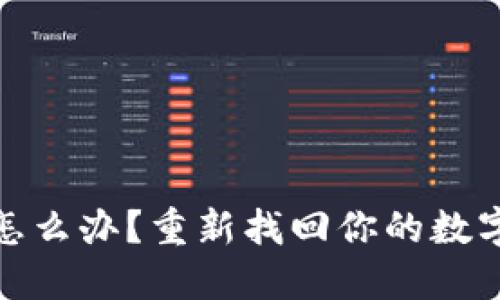 冷钱包硬盘丢失怎么办？重新找回你的数字资产的希望之路