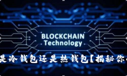 深度解析：token.im是冷钱包还是热钱包？揭秘你的数字资产安全之路