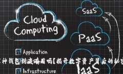 库神钱包到底有用吗？揭开数字资产背后的秘密