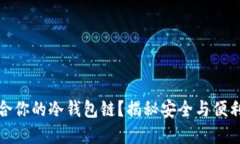 如何选择适合你的冷钱包链？揭秘安全与便利的