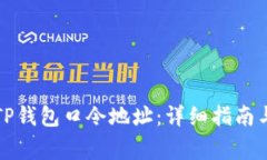 如何正确使用TP钱包口令地址：详细指南与常见问