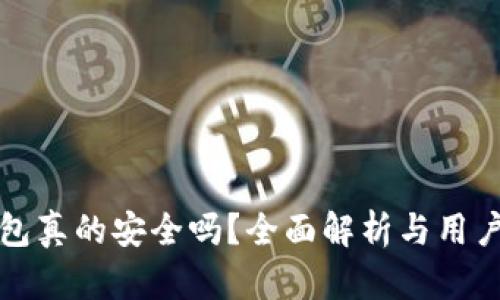 TP钱包真的安全吗？全面解析与用户指南
