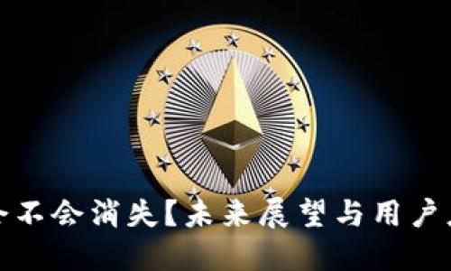 TP钱包会不会消失？未来展望与用户应对策略