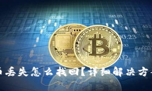 TP钱包币丢失怎么找回？详细解决方案与技巧