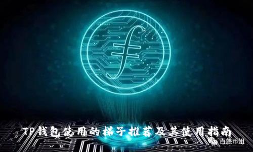 TP钱包使用的梯子推荐及其使用指南