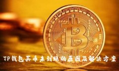 TP钱包买币未到账的原因及解决方案