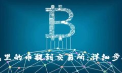 如何将TP钱包里的币提到交易所：详细步骤与注意