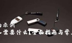 自己设置的示例TP钱包导入需要什么？全面指南与