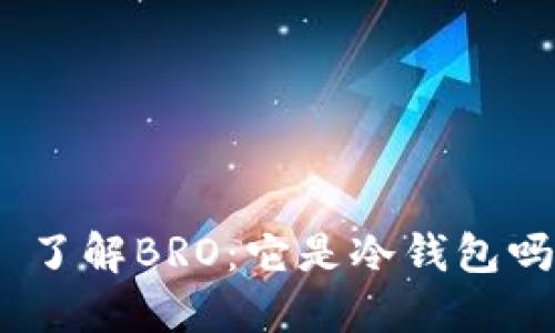 : 了解BRO：它是冷钱包吗？