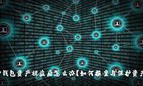 TP钱包资产被盗后怎么办？如何报案与保护资产？