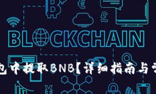 如何在TP钱包中提取BNB？详细指南与常见问题解答